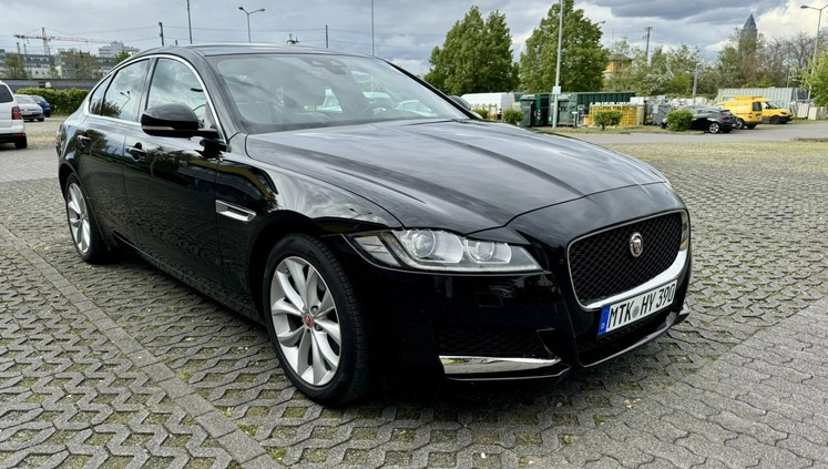 Jaguar XF cena 159900 przebieg: 39500, rok produkcji 2020 z Częstochowa małe 667